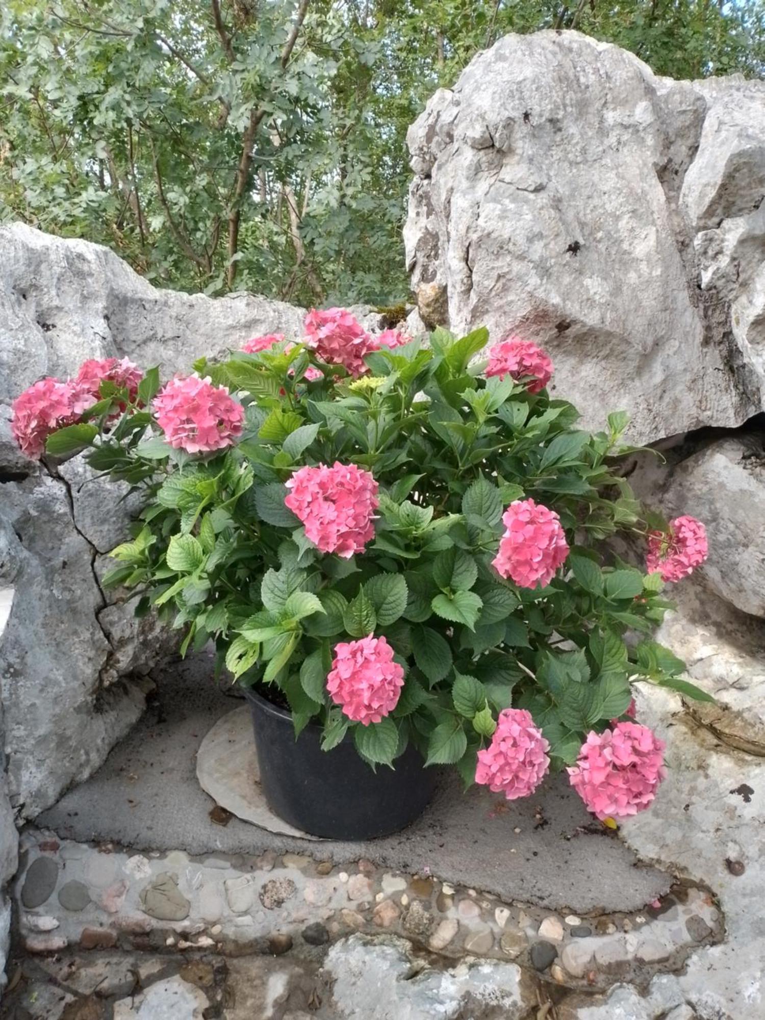 Apartment Oasis Of Peace Meterizi